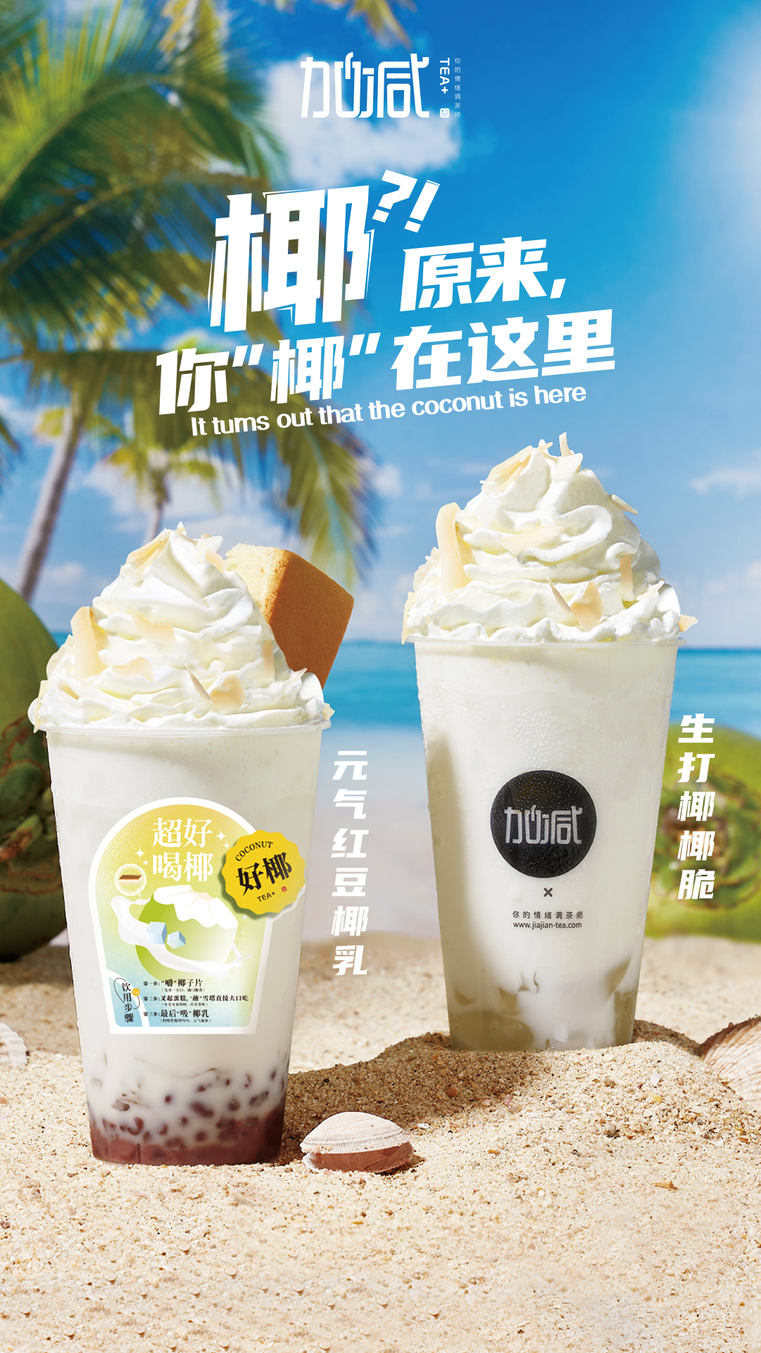 尊龙中国椰子系列新品