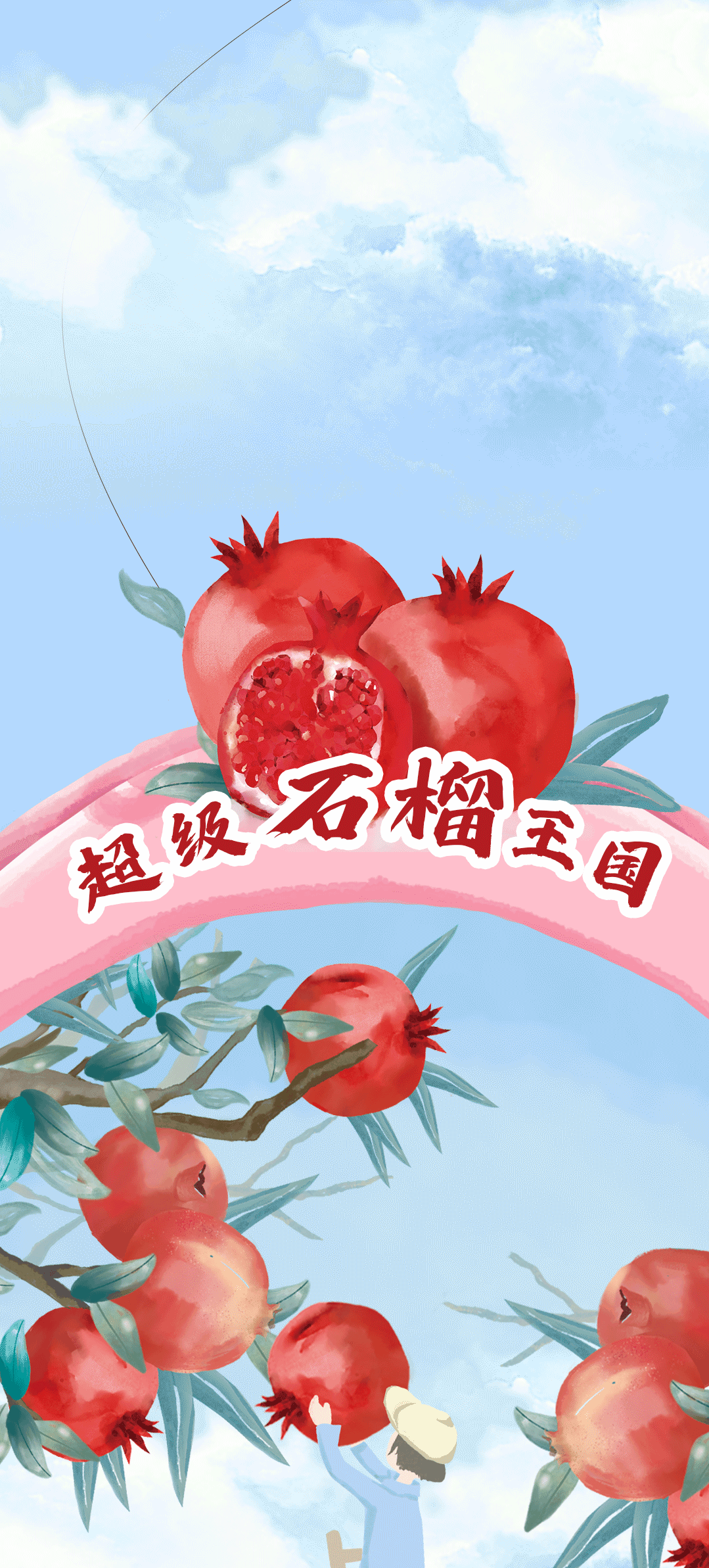 尊龙中国石榴新品