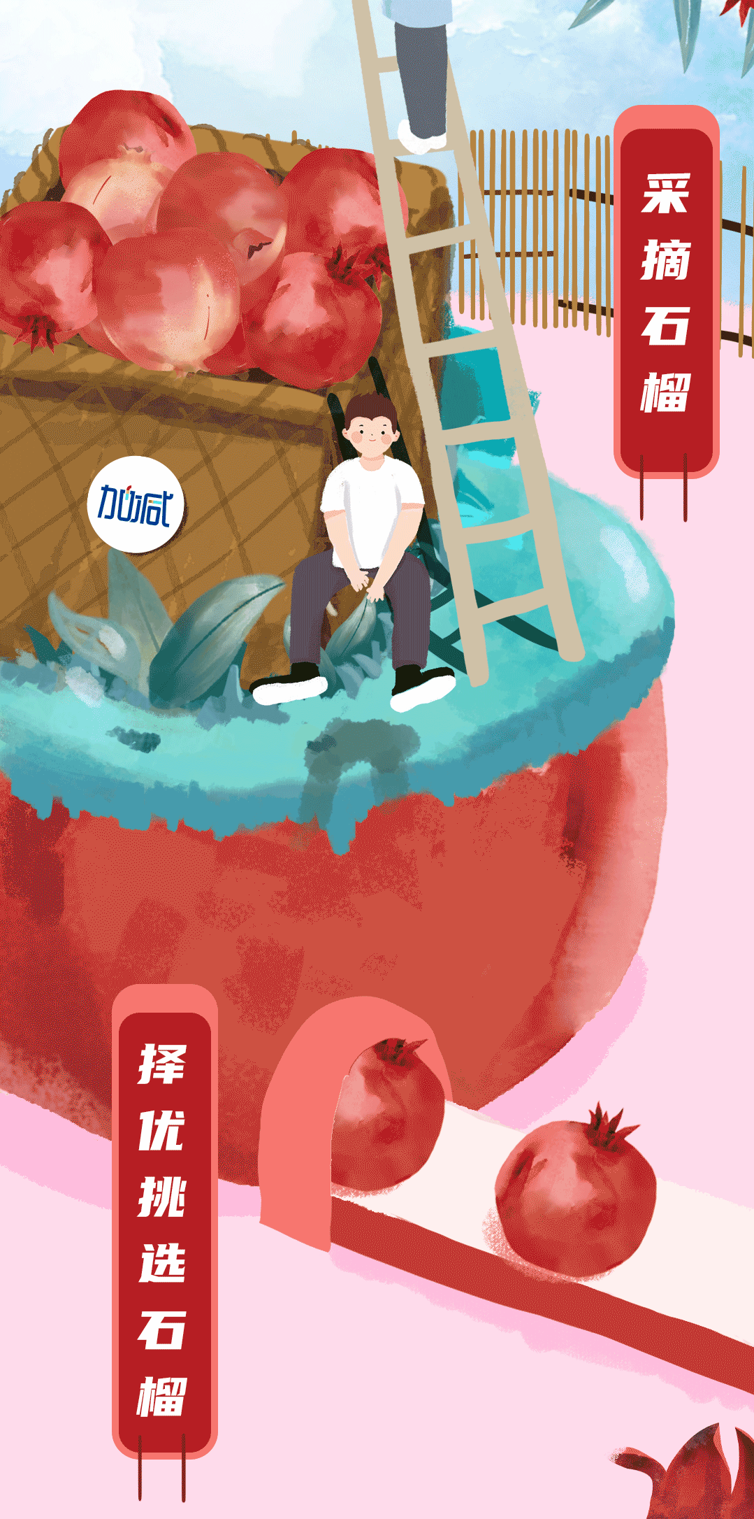 尊龙中国石榴新品