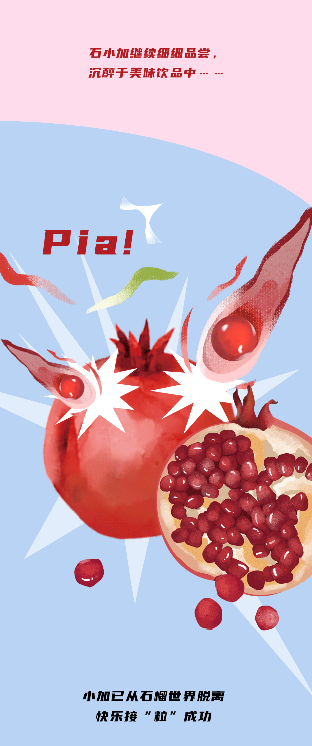 尊龙中国石榴新品